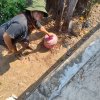 โครงการถังขยะเปียกลดโลกร้อน
